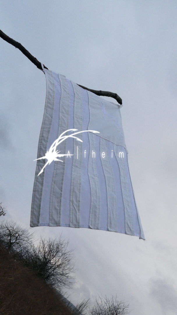 Archaea collective